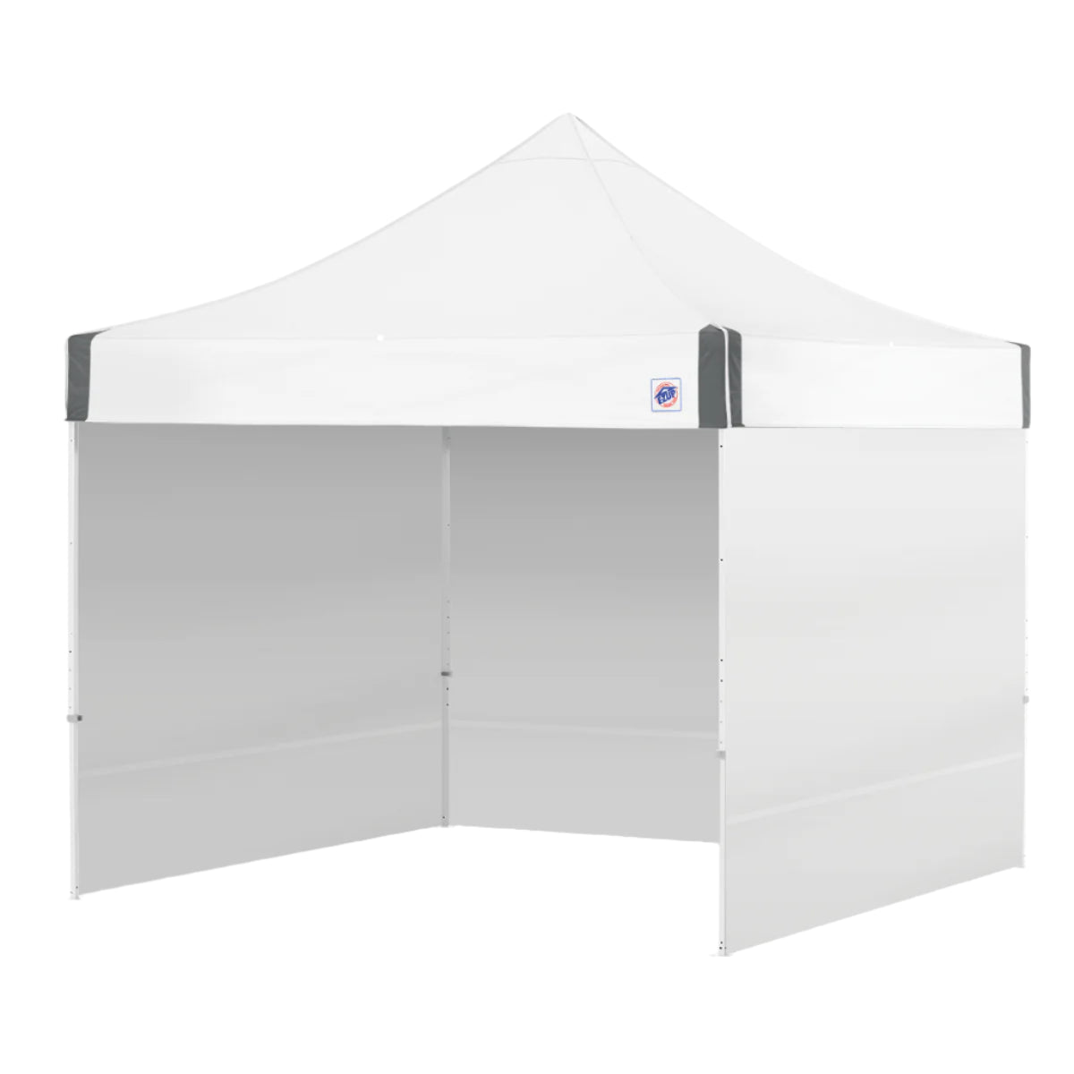 ES100S™ 10' x 10' Canopy Value Pack