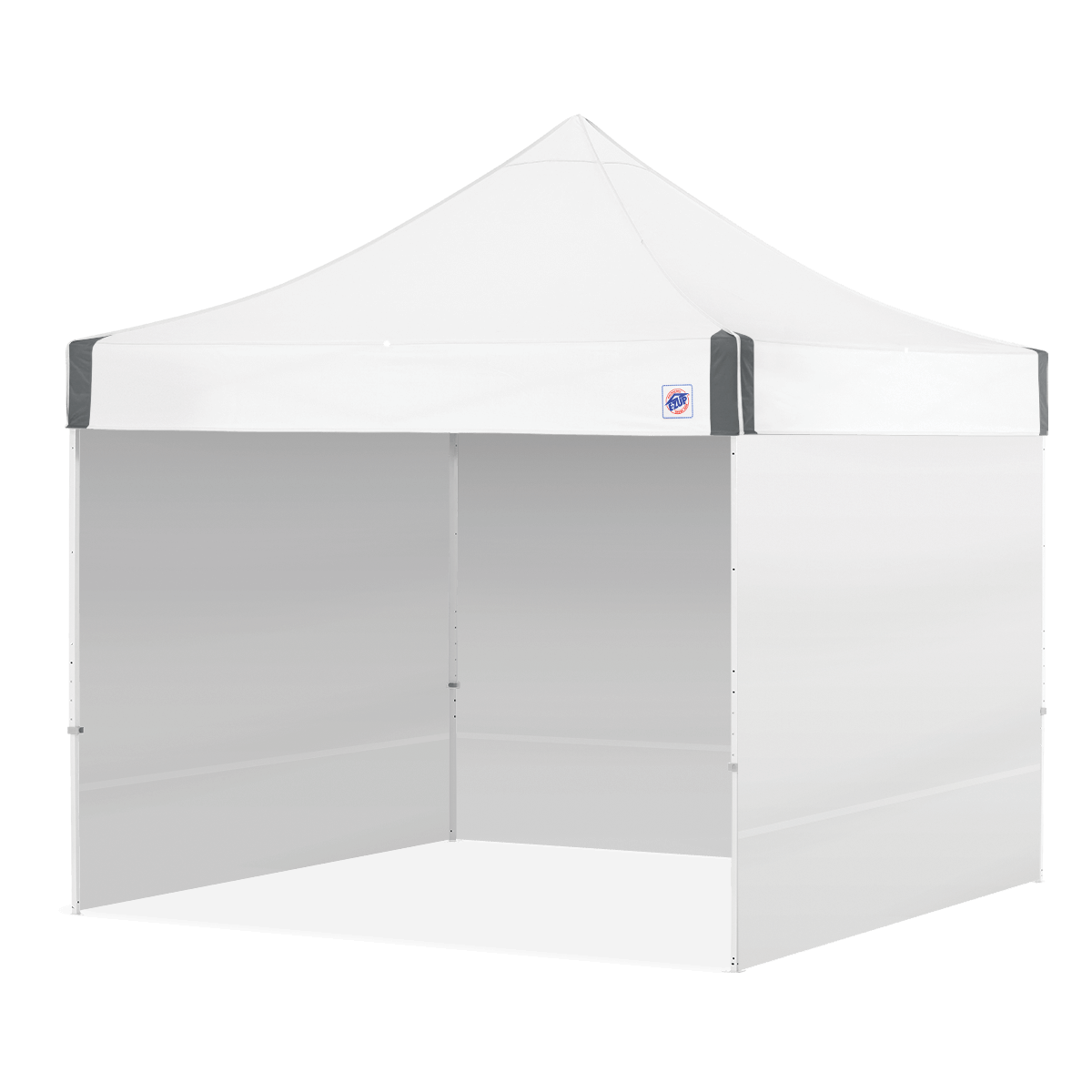 ES100S™ 10' x 10' Canopy Value Pack